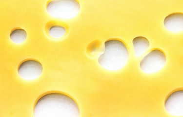 Käsescheibe Emmentaler