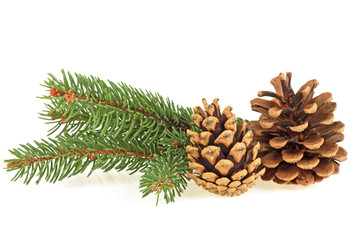 Christmas decoration - two pine cones and fir tree branches on white background