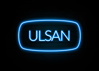 Ulsan  - colorful Neon Sign on brickwall