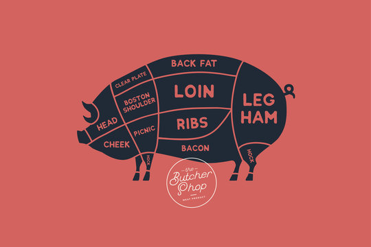 Meat cuts. Diagrams for butcher shop. Scheme of pork. Animal silhouette pork. Vector illustration.