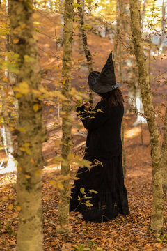 Witch in the woods. Hallowen, ancient and modern rites. Magic