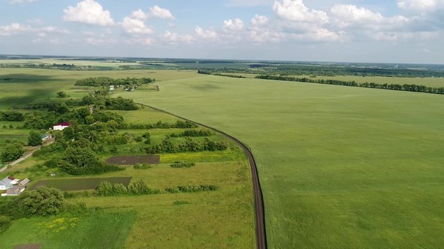 Green cereal fields on outskirts of the village in Russia