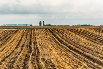 field after harvest © nedomacki