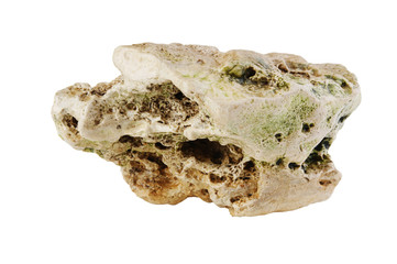 marine reef aquarium isolated on a white background