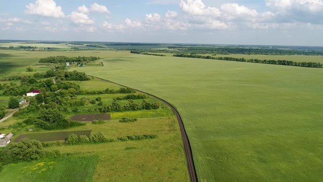 Green cereal fields on outskirts of the village in Russia