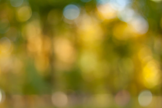 Blurry nature wallpaper.