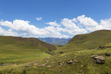 Fototapeta premium Green grass and blue sky with clouds