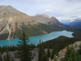 Canadian Peyto Lake in the Rocky Mountains in Banff National Park