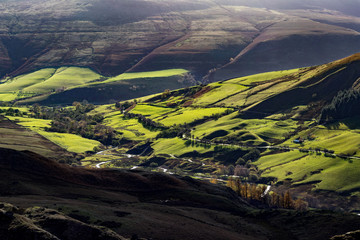 Woodland Valley Sunlight
