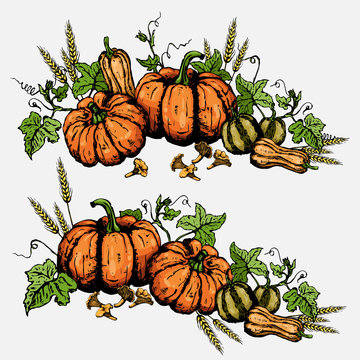 Vector composition of pumpkins with leaves