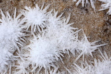 Frozen ice crystals on the ground
