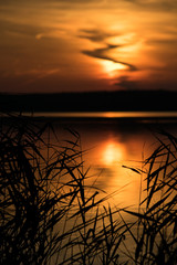 Silhouette plants by lake against sky during sunset