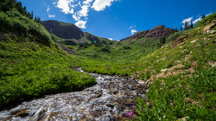 Stream through grassy field