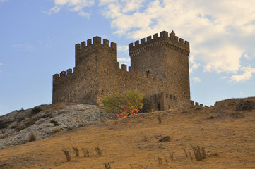 Tree of Love in the Old Towers of the Ancient Genoese Fortress in Sudak, Russia