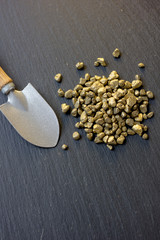 Golden sand and little shovel as gold mining concept