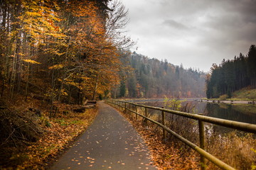 Fototapeta premium Autumn coast of Vltava river