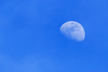 Day Gibbous Moon