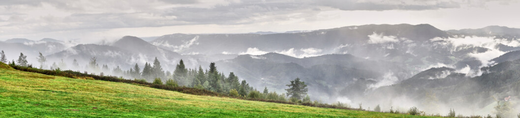 Dramatic sky at rainy day in Black Forest in Germany / Wide panoramic photo of Black Forest nearby...