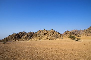 Desert in front of the Sinai Mountains