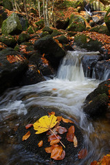 Herbst in der Ysperklamm - Niederösterreich