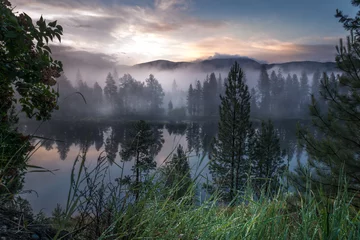 Crédence de cuisine en verre imprimé Forêt dans le brouillard SPRING TO LIFE