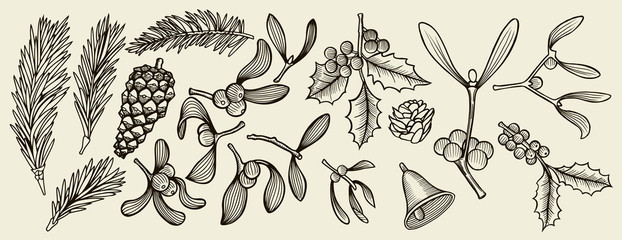 tradition Christmas decoration plants