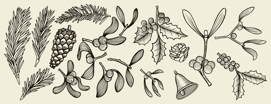 tradition Christmas decoration plants