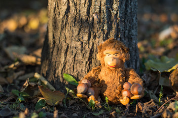 Antique monkey doll sits under a tree