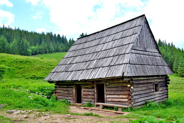 Fototapeta na wymiar Old wooden hut in the meadow, Tatra mountains, Poland
