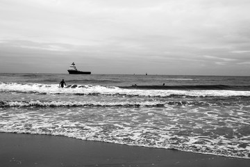 sea north beach white black seagull ship shore stones port skyline