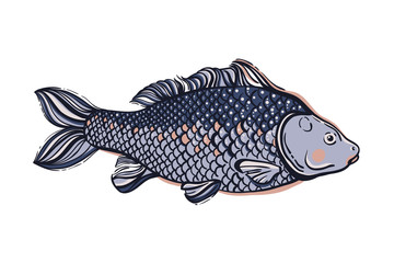 Carp. Chinese symbol of good luck, courage, persistence, perseverance, wisdom and vitality. Vector illustration.