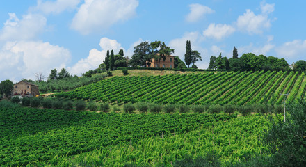 Typical Italian landscape in Tuscany