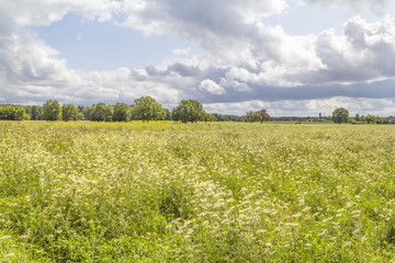 rural scenery in Hohenlohe