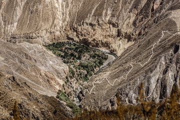 Naklejka premium Colca Canyon, Peru