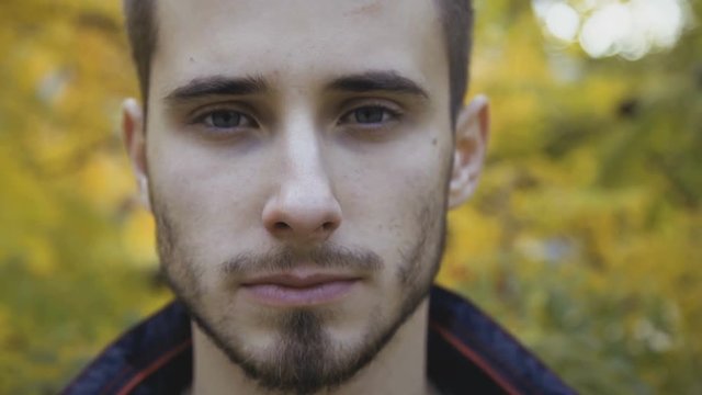 Portrait of hansome male face on autumn blurred background 4K