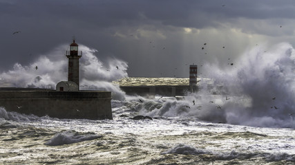 Fototapeta na wymiar Felgueiras Lighthouse 