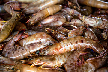 Small amount of shrimp