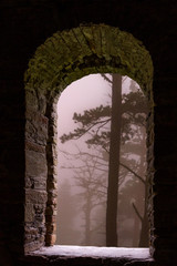 Mist forest trees stone window