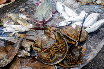 Georgetown (Penang), Malaysia