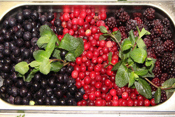 frozen, food, vegetables, healthy, vegetable, mix, fresh, freezer, green, cold, carrot, ice, background, raw, frost, corn, foods, meal, broccoli, vegetarian, white, pea, red, natural, orange, organic,