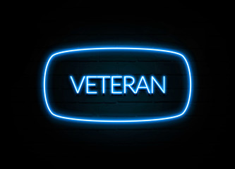 Veteran  - colorful Neon Sign on brickwall