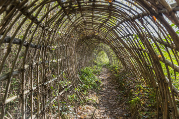 Wicker tunnel in the forest