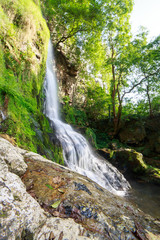 Naklejka na ściany i meble Landscape of one of water cascades of Oneta waterfalls in picturesque forest of Asturias, Spain.