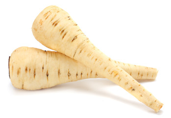 Parsnip isolated on the white background close up