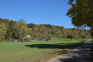 Fototapeta na wymiar Herbstimpression aus Leonberg, Württemberg, Deutschland.