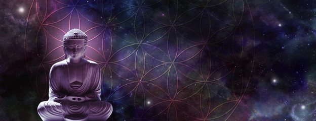 Cosmic Buddha meditating on the Flower of Life - Lotus position buddha on left with a magenta glow...