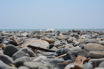 Beach Stones