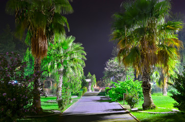 Long exposure night photo of the grand haber hotel park alley with a lot of green palm trees, bushes and grass in a bright street light.