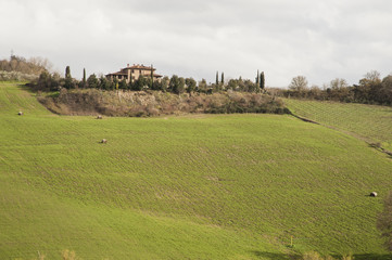 Fototapeta na wymiar Val d'Orcia - Siena, Italia - The Val d’Orcia, is a region of Tuscany, Italy. Its gentle, cultivated hills are occasionally broken by gullies and by picturesque towns and villages