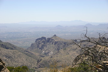 Arizona Desert 57